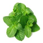 Pothina Mint Leaves 100 gm