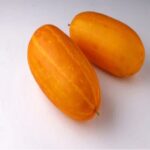 Kani Vellari